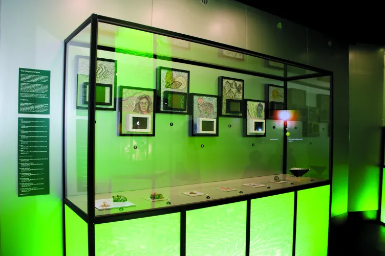 A display case in an exhibition.