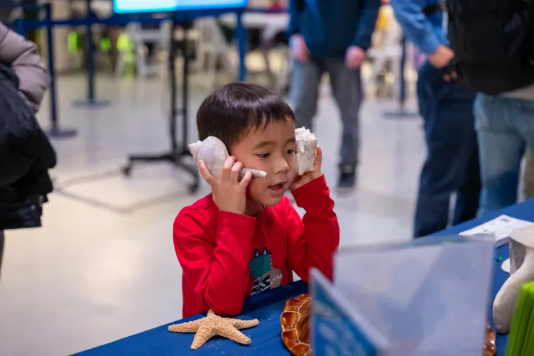 A kid holds up a seashell next to each ear