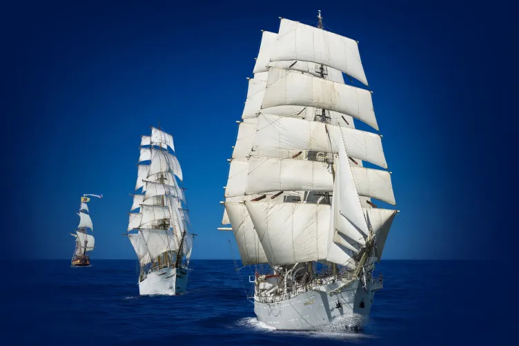 Tall ships and naval vessels in harbor