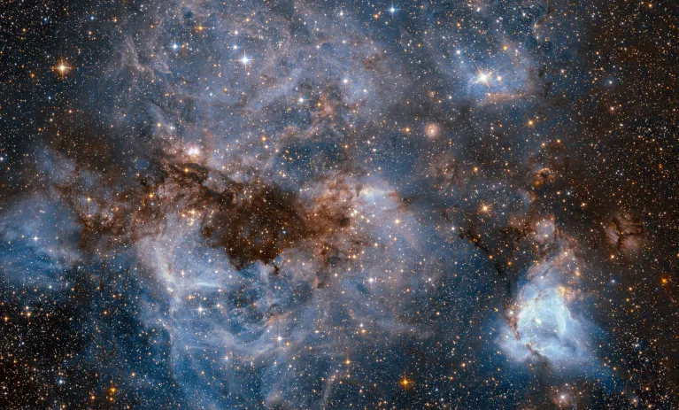 NASA/ESA Hubble Space Telescope shows a maelstrom of glowing gas and dark dust within one of the Milky Way’s satellite galaxies, the Large Magellanic Cloud (LMC).