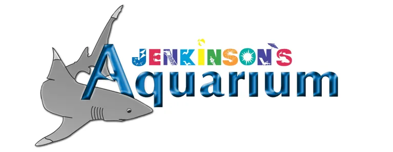 Jenkinson's Aquarium