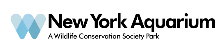 New York Aquarium