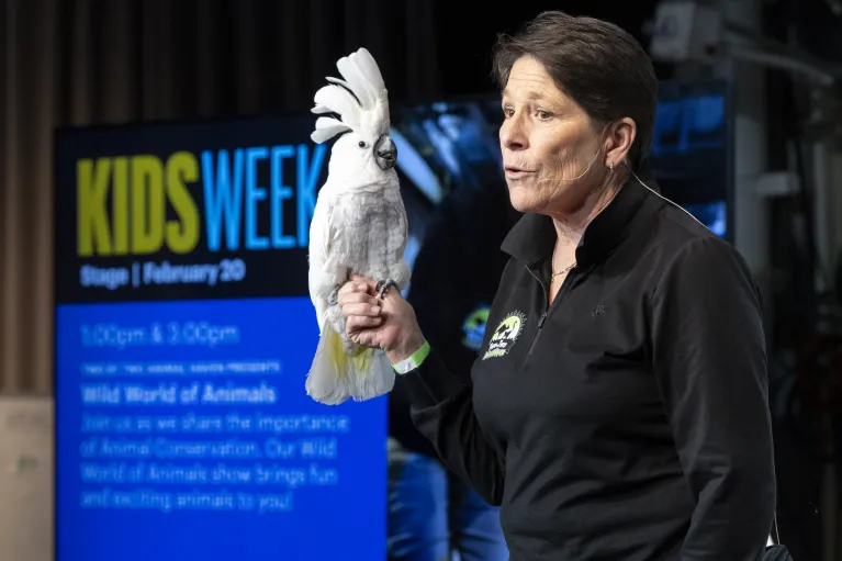 Bird being displayed during Kids Week aboard Intrepid