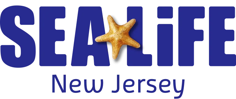 Sea Life New Jersey