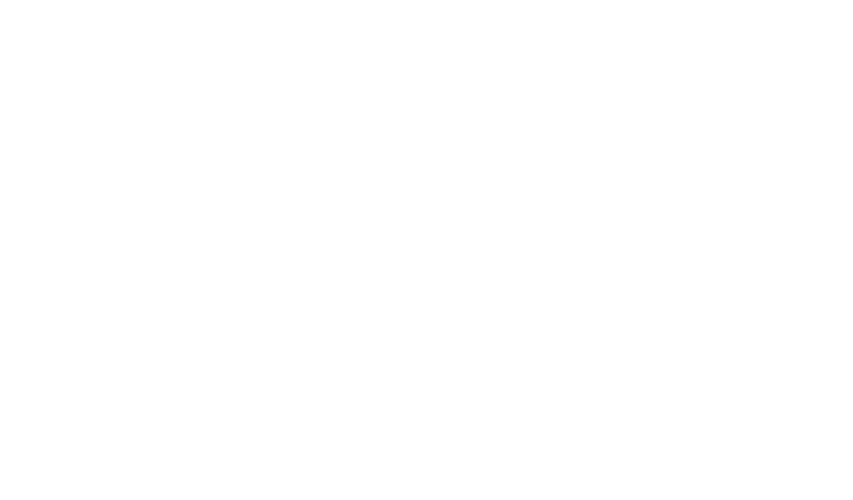 Pepsi logo white 