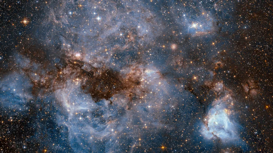 NASA/ESA Hubble Space Telescope shows a maelstrom of glowing gas and dark dust within one of the Milky Way’s satellite galaxies, the Large Magellanic Cloud (LMC).