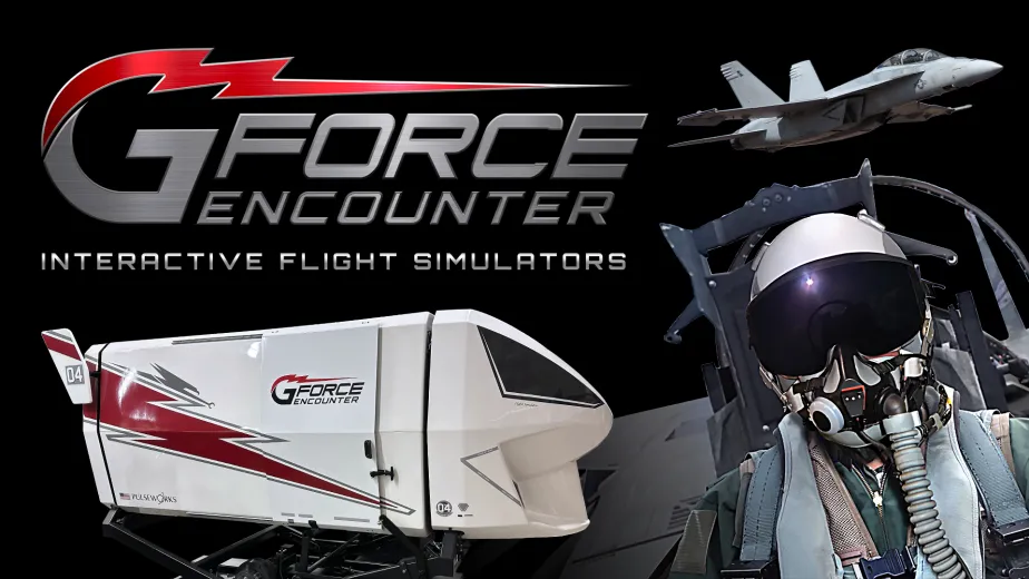 Flight Simulator Experiences