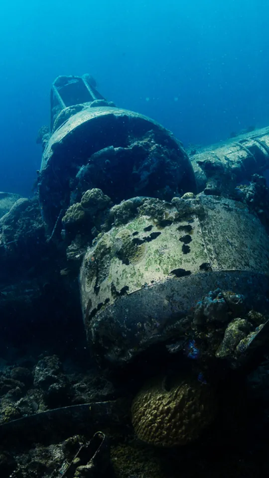 Archaeologist swimming near coral-covered shipwreck remains